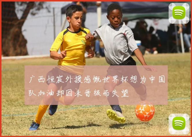 广西恒宸外援感慨世界杯想为中国队加油却因未晋级而失望